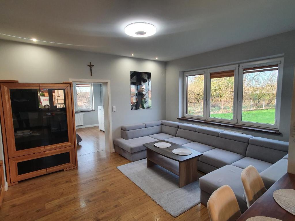 uma sala de estar com um sofá e uma televisão em Apartament nr 2 Chorzelów em Mielec