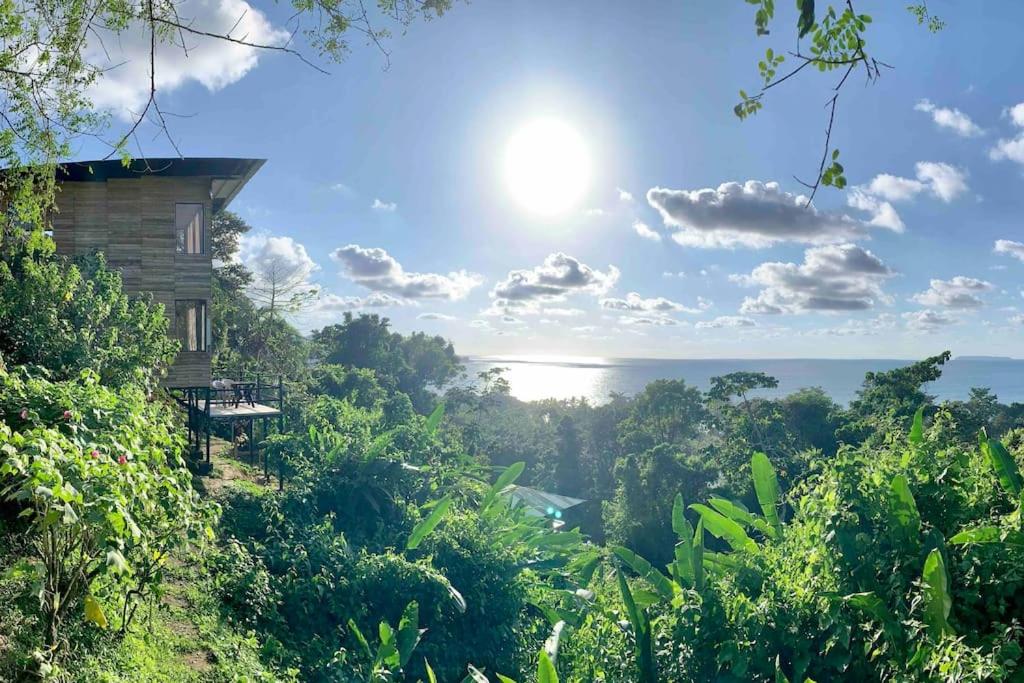 a house on a hill with a view of the ocean at Cotinga Nest - King Bed, Ocean View in San Pedrillo