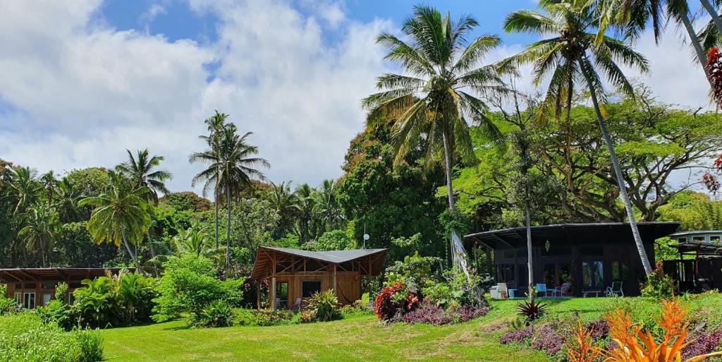 einen Garten mit einem Haus und Palmen in der Unterkunft Kalani Oceanside Retreat in Pahoa