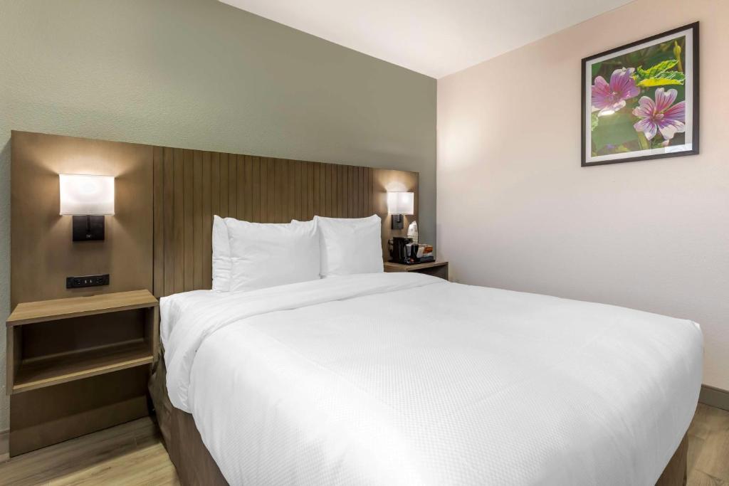 Best Western North Side Inn - Queen Room With Roll-In Shower - Disability Access