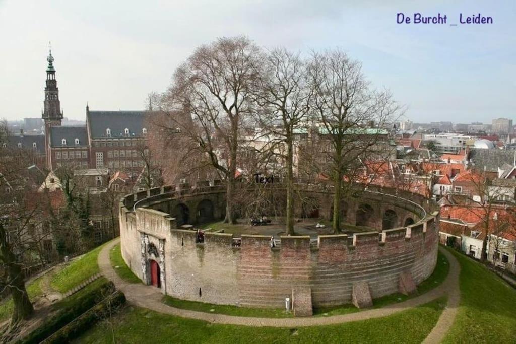 a view of a castle with a city in the background at number 8 in Leiden