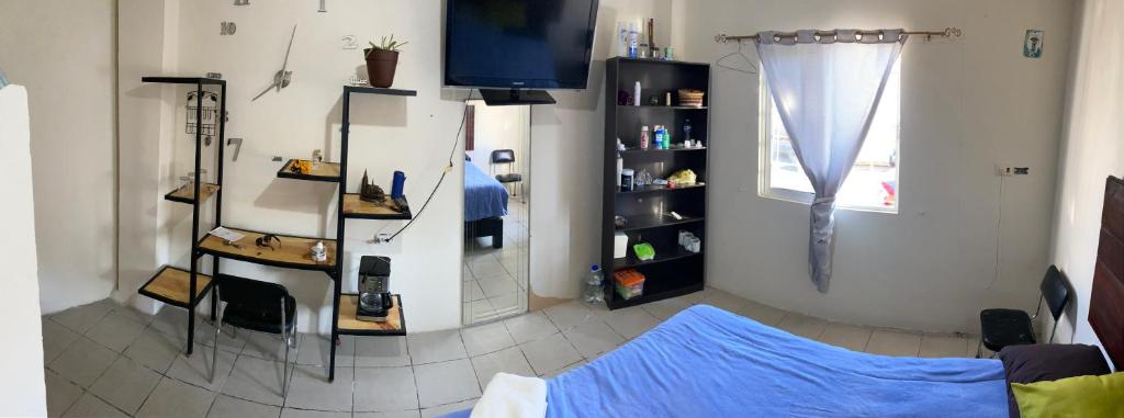 a living room with a blue bed and a tv at Habitación privada Leonera in Cholula
