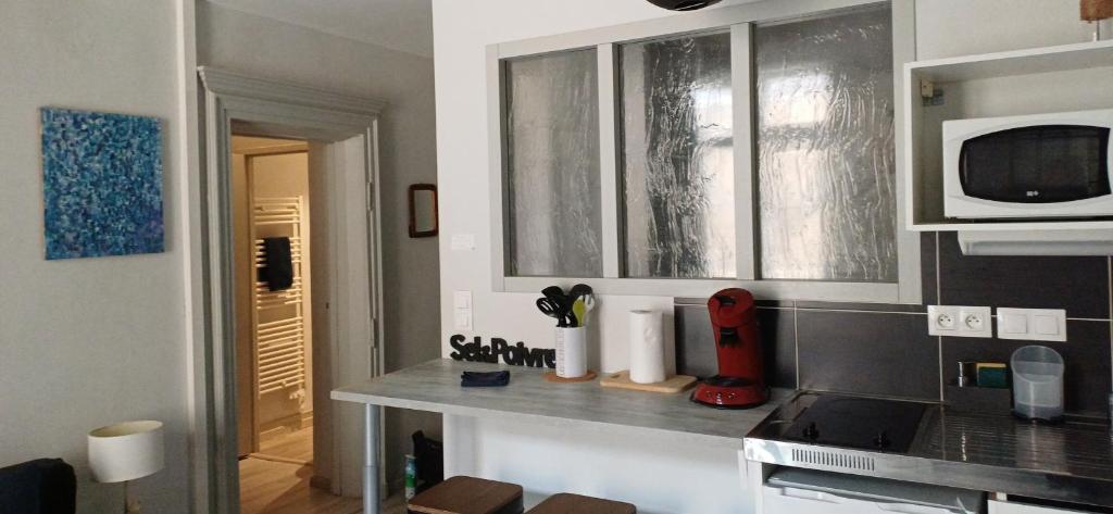 a kitchen with a counter top and a microwave at La Maison du Bonheur - Logement entier de 39 m2 in Bourg-en-Bresse