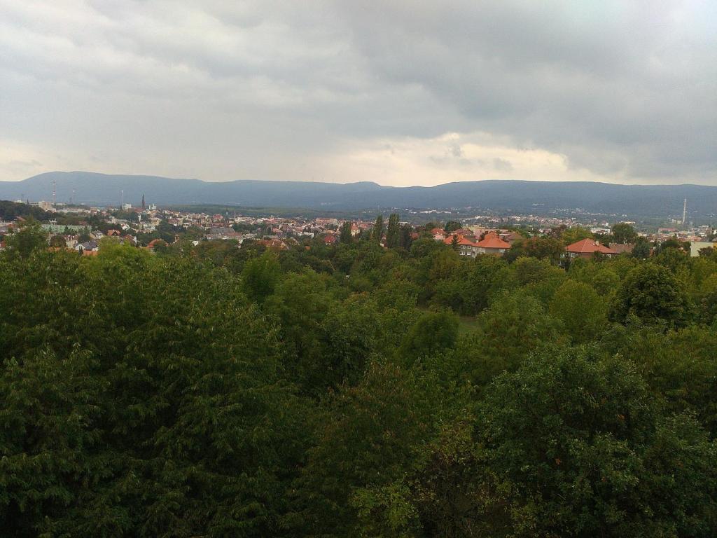 Příroda nedaleko hotelu