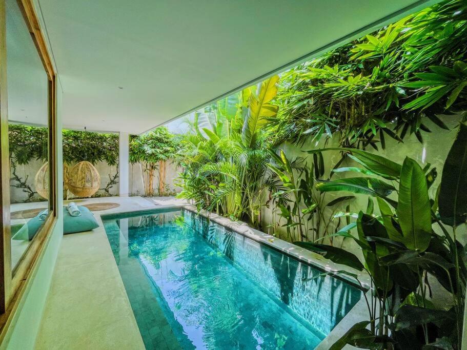 a swimming pool in a house with plants at Marlaca Villas - Pampita - One bed Kuta Central in Kuta Lombok