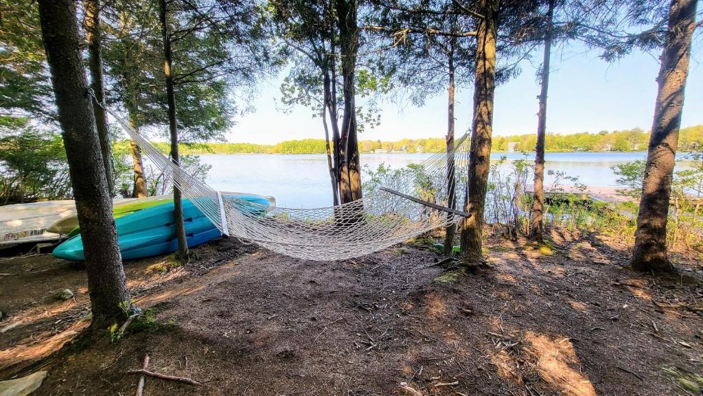 a hammock in the woods next to a lake at Tranquil Waterside by AvantStay Lakefront Dock Game Room Views in Pocono Summit