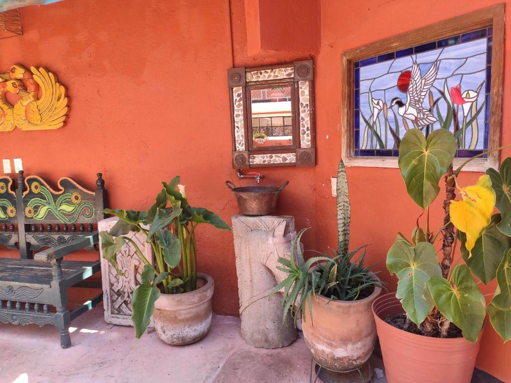 Fotografie z fotogalerie ubytování Hotel Mesón de la Salud v destinaci Ario de Rosales