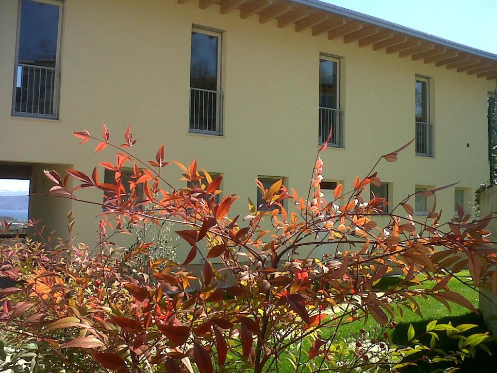 Zahrada ubytování Bio B&B Vivere la Vita