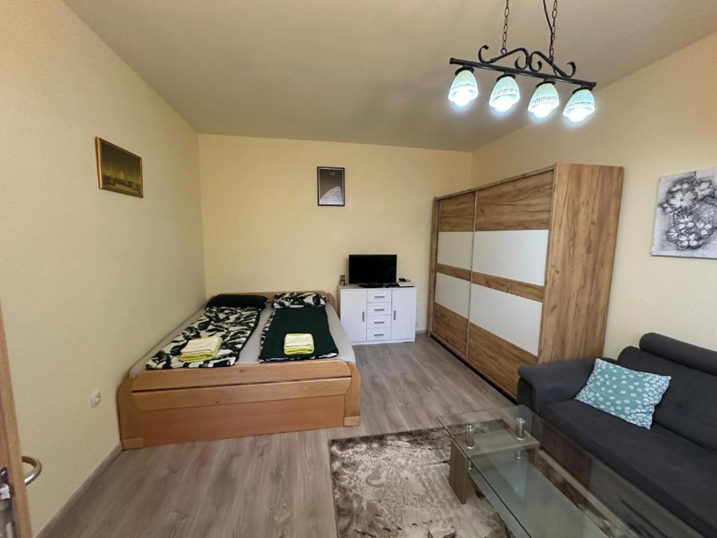 sala de estar con cama y sofá en Alpino en Liubliana