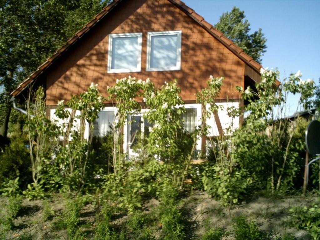 ベルガーエンデ・レートヴィッシュにあるChild friendly Bungalow in B rgerende Rethwischの窓と雑草が目の前にある家