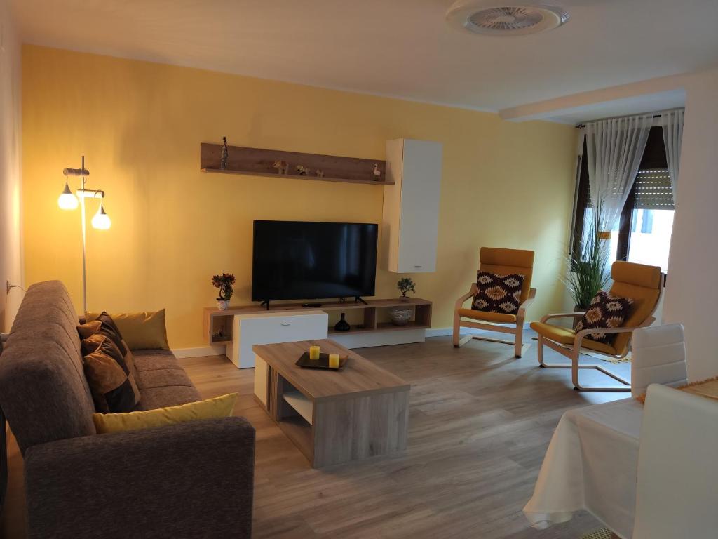 a living room with a couch and a tv at Apartamento Confort II in La Seu d'Urgell