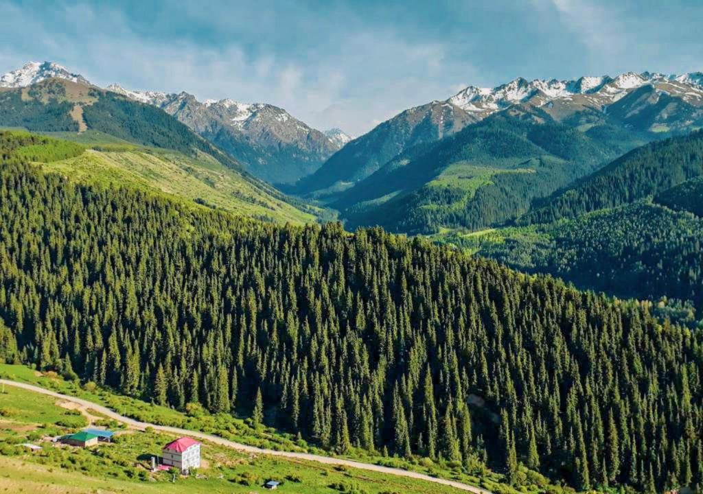ein Bergtal mit Bäumen, einer Scheune und Bergen in der Unterkunft Горный дом ЛЕС и ГОРЫ in Karakol