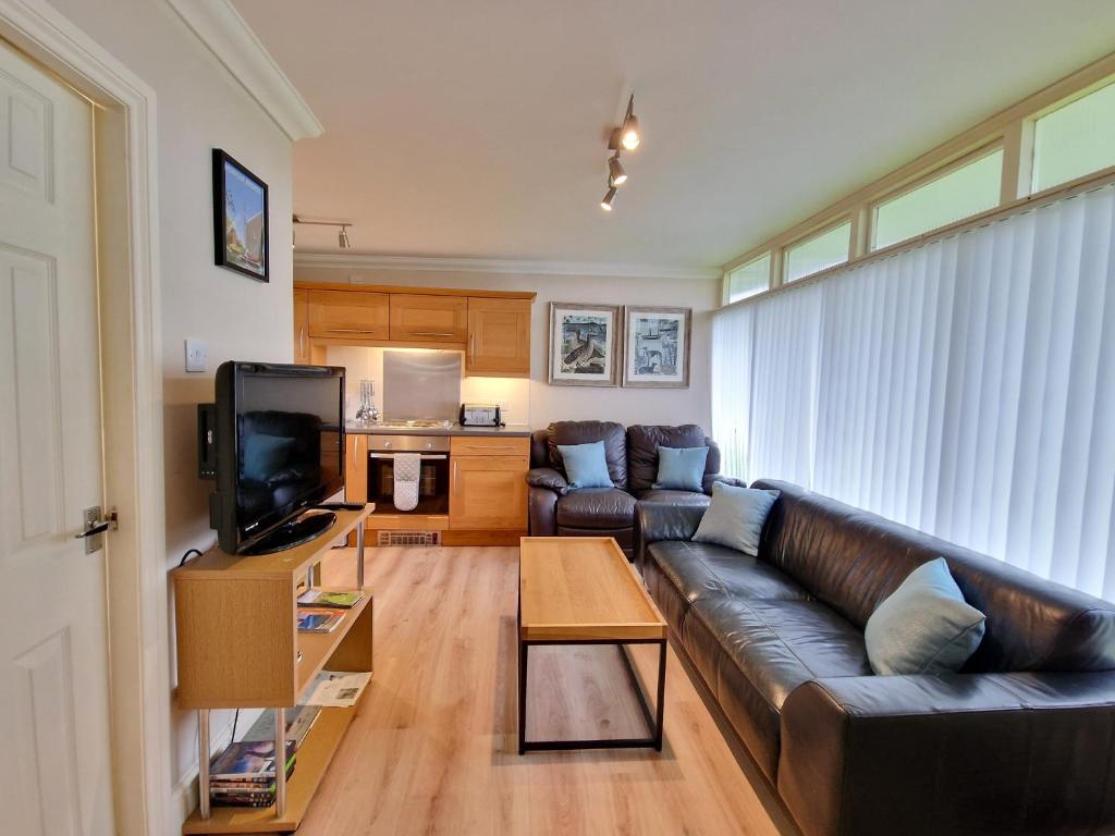 ein Wohnzimmer mit einem Ledersofa und einem TV in der Unterkunft 28 Broadside Holiday Chalet near Broads & Beaches in Stalham