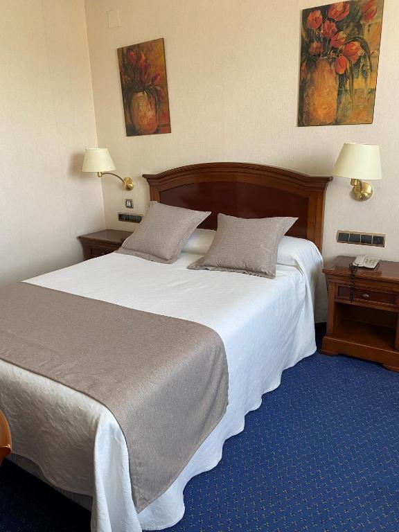 Hotel Villa De Almazan - Habitación Individual