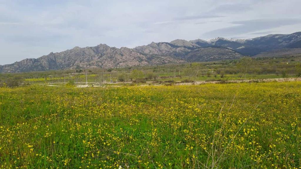 Apartamentos Cuerda Larga - 10