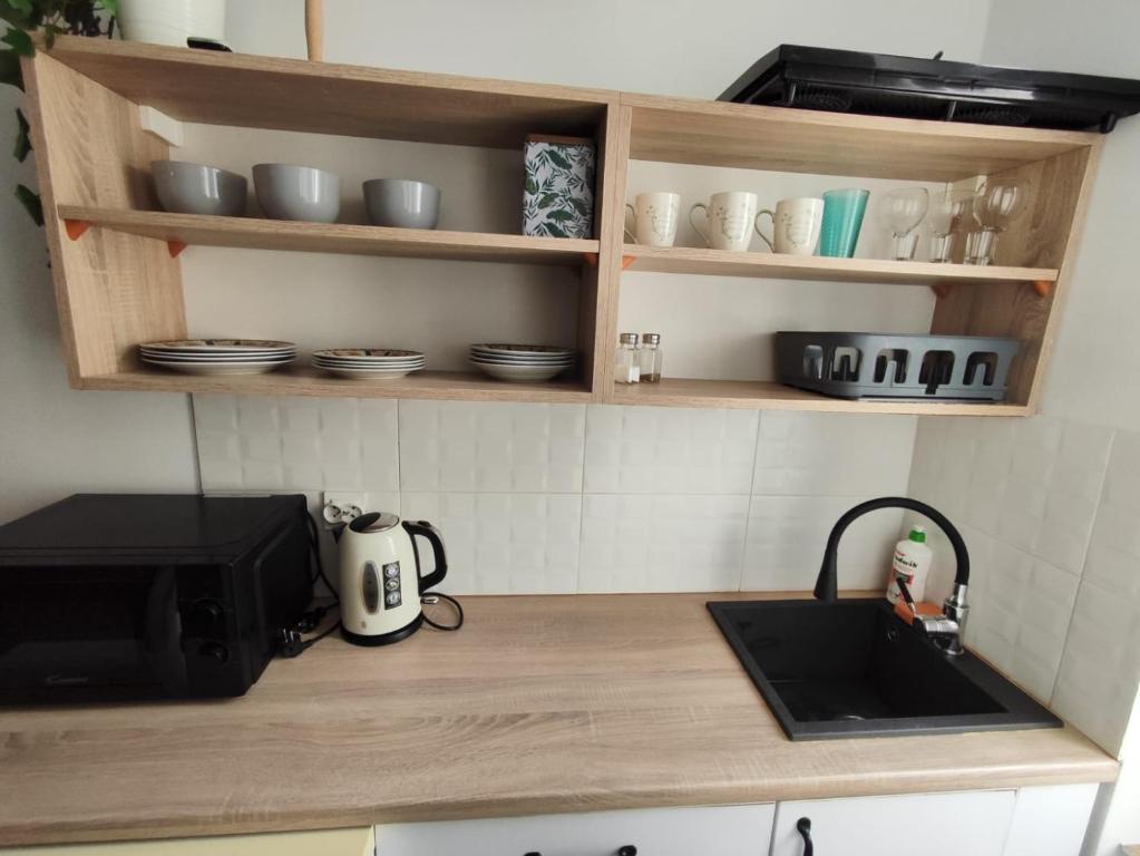 W kuchni znajduje się umywalka i kuchenka mikrofalowa. w obiekcie Little room 7 - pokój z prywatną łazienką i aneksem w Szczecinie
