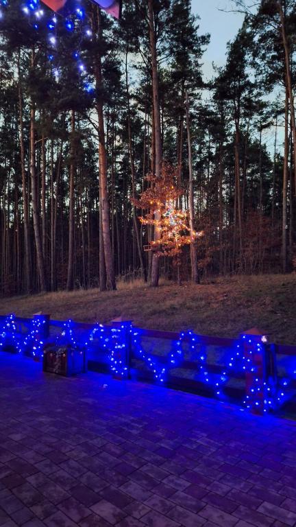 um grupo de luzes azuis em um parque à noite em Willa Pod Lasem em Jodlow