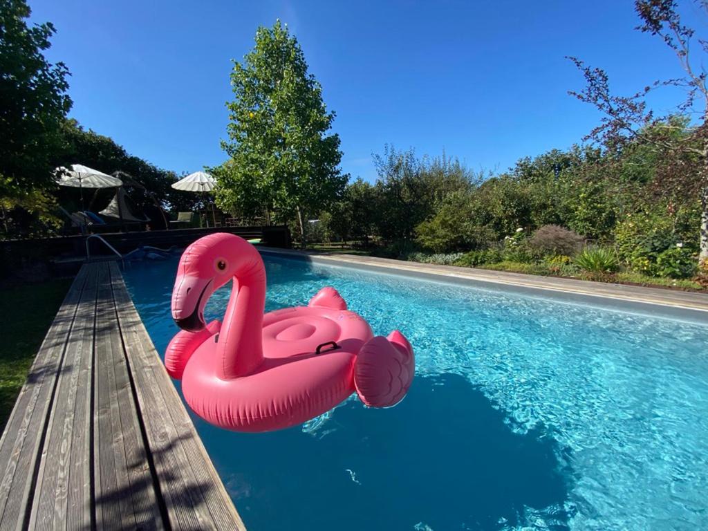 un flotteur de flamants roses dans une piscine dans l'établissement L'école des garçons, à Maigné