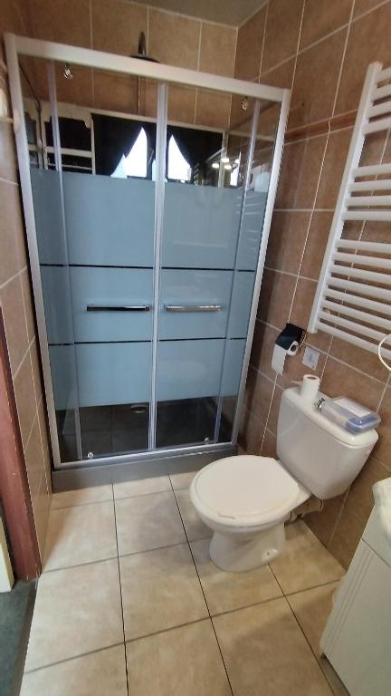 a bathroom with a toilet and a glass shower at Résidence L&#39;Ogomé in Le Boupère