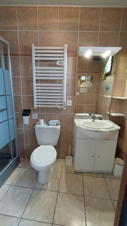 a bathroom with a toilet and a sink at Résidence L&#39;Ogomé in Le Boupère