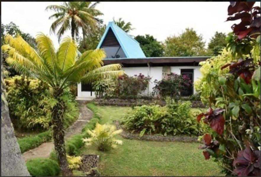 una casa con una palma di fronte a un cortile di Villa 109 a Pacific Harbour