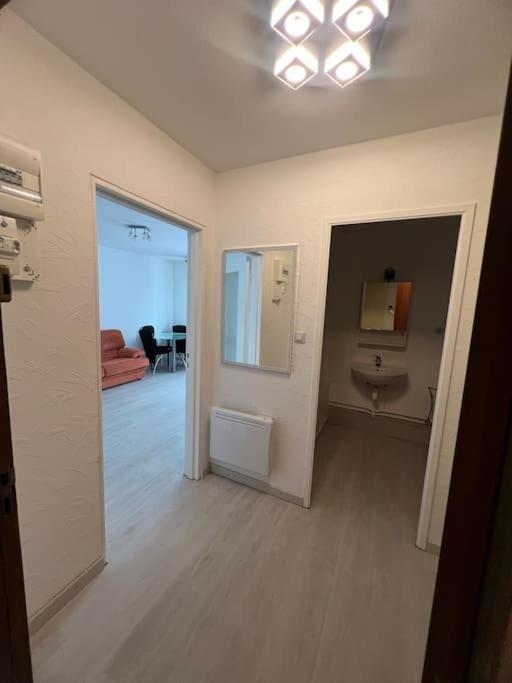 a bathroom with a toilet and a sink in a room at Appartement 1 pièce Strasbourg in Schiltigheim