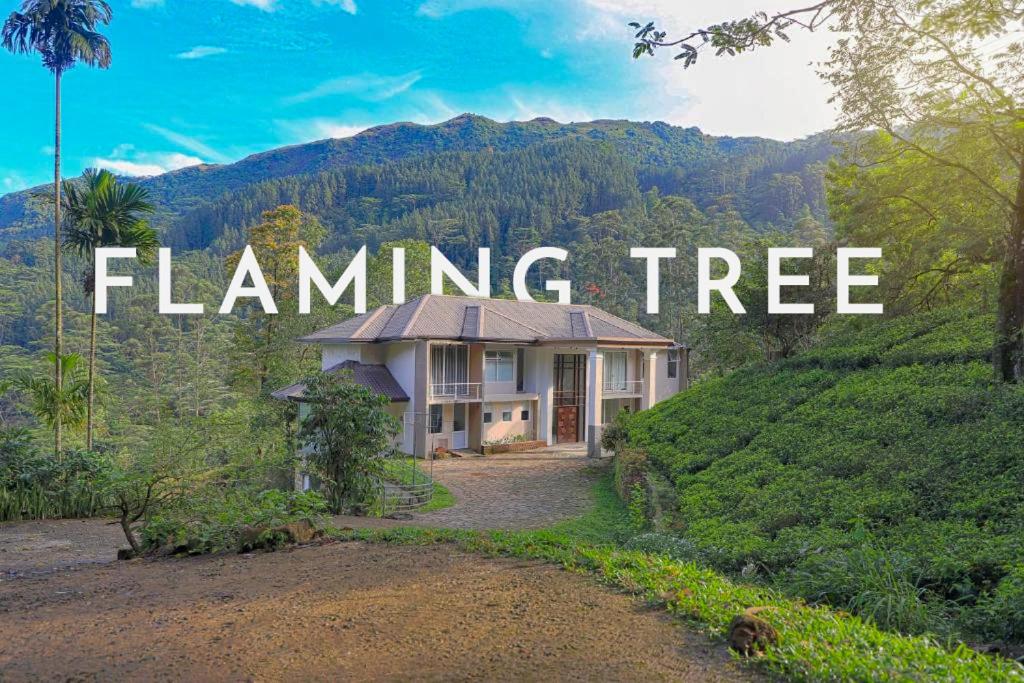 a house on a hill with the words flaming tree at Flaming Tree Resorts in Kiriwan Eliya