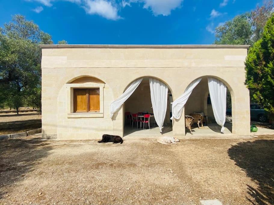 un chien pondant devant une petite maison dans l'établissement 3 bedroom country villa with 2 large verandas, à Torre Ovo