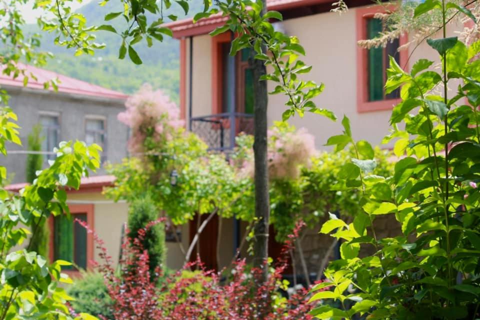 een huis met een bos planten ervoor bij Royal Edena in Ambrolauri