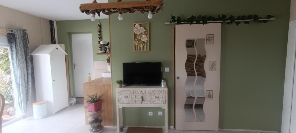 TV a/nebo společenská místnost v ubytování Studio cosy