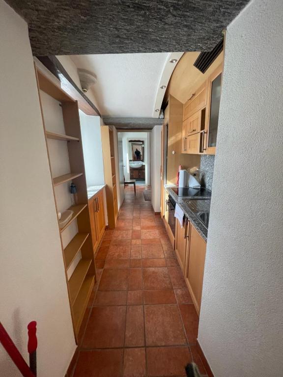 Kuchyň nebo kuchyňský kout v ubytování Panoramic Orselina