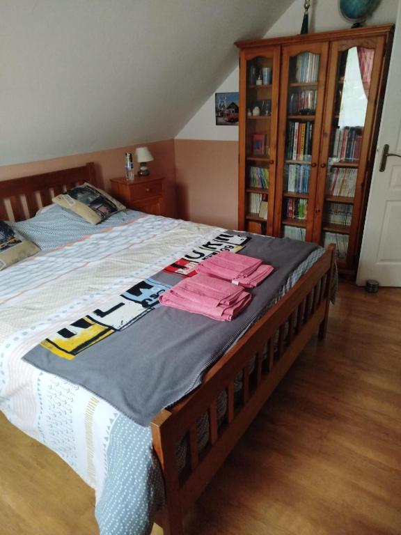 a bedroom with a bed and a book shelf at Chambre dans maison avec salle de bain collective in Cluses