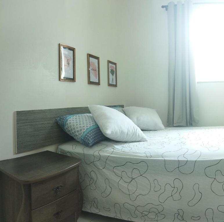 ein Schlafzimmer mit einem Bett mit Kissen und einem Fenster in der Unterkunft Apartamento 2 Privado Central in Boa Vista