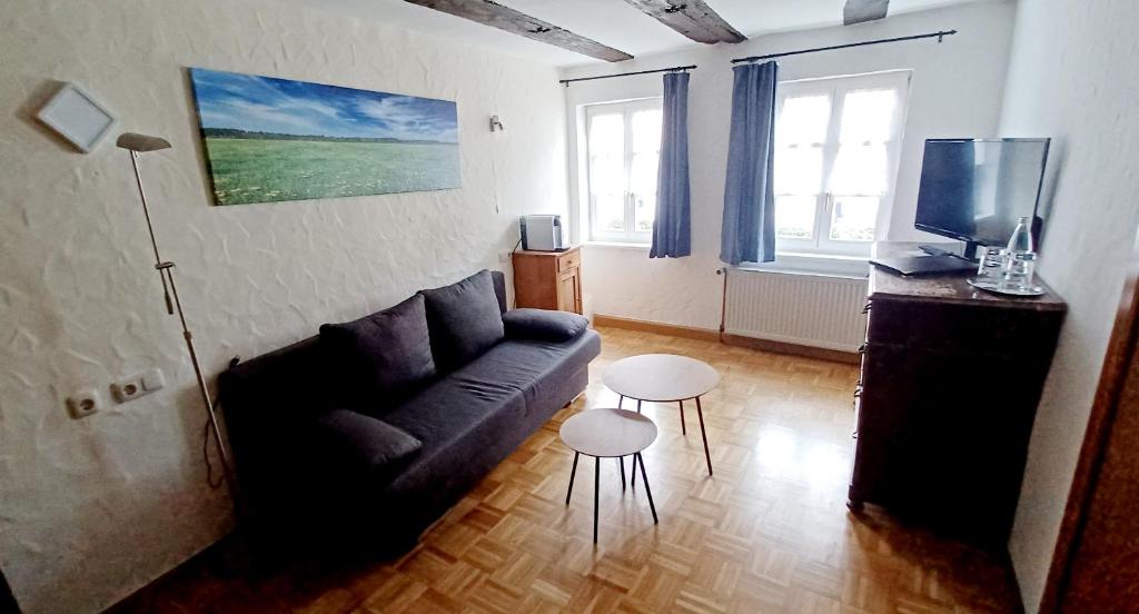 TV a/nebo společenská místnost v ubytování Wein-und Gasthof Zipf