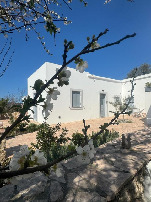 a house with a flowering tree in front of it at Serendipity Living in Kythira