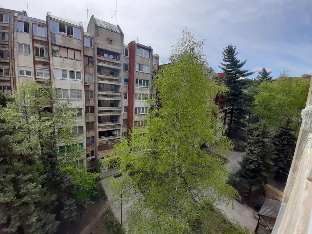 Zgradba, v kateri se nahaja apartma