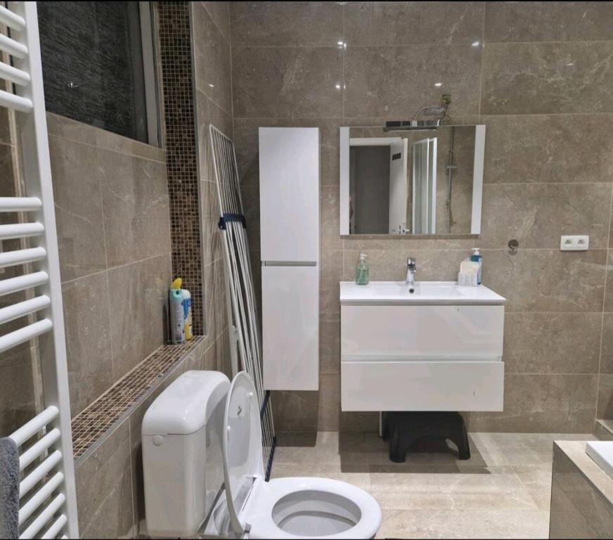 uma casa de banho com um WC branco e um lavatório. em Bright and cozy room close to airport em Kampenhout