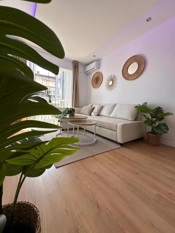 Apartamento San Jorge Premium - Málaga - 12