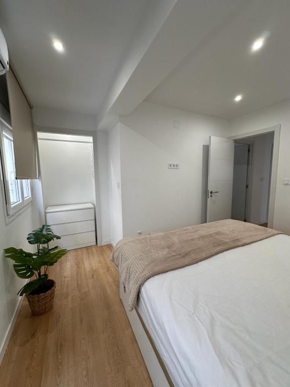 Apartamento San Jorge Premium - Málaga - 19