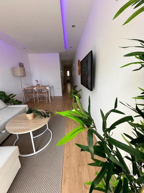 Apartamento San Jorge Premium - Málaga - 7