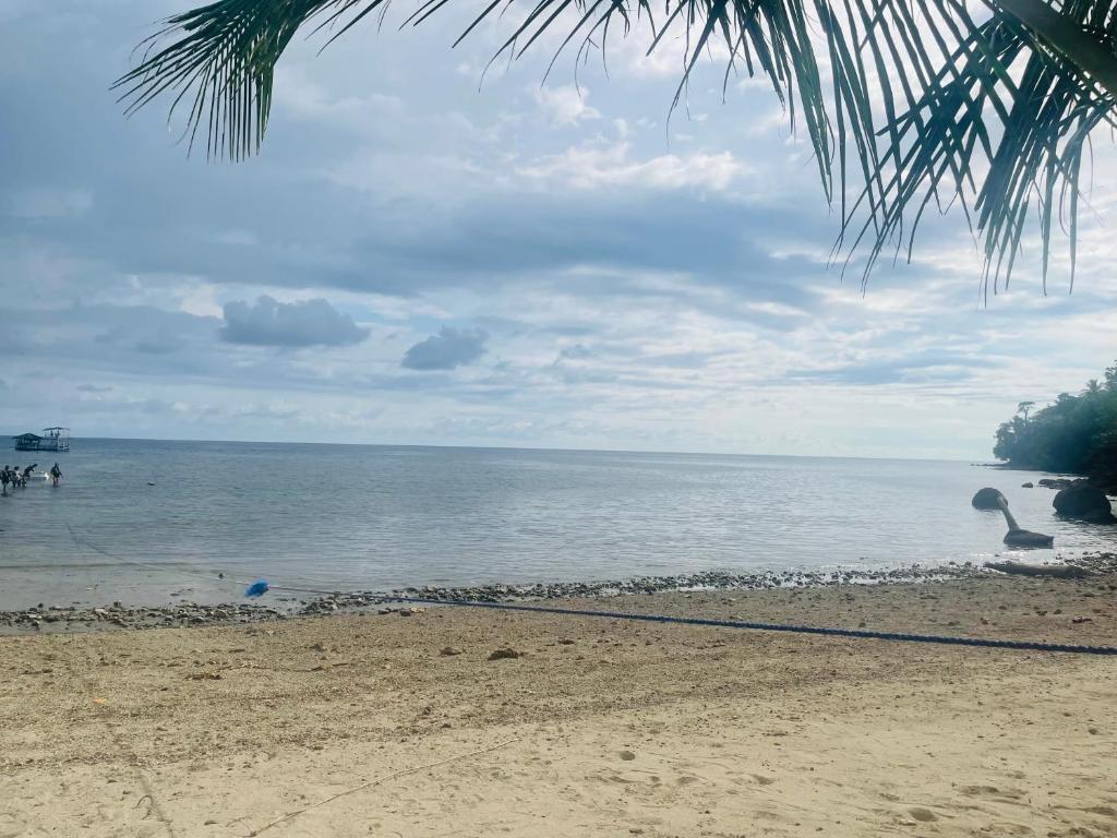 a beach with a palm tree and the ocean at Northern Prince Beach Resort in General Santos