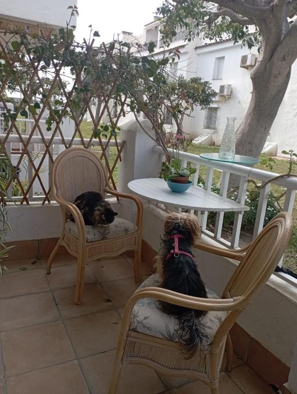 Balkón alebo terasa v ubytovaní Apartamento Laguna Beach Torrox Costa