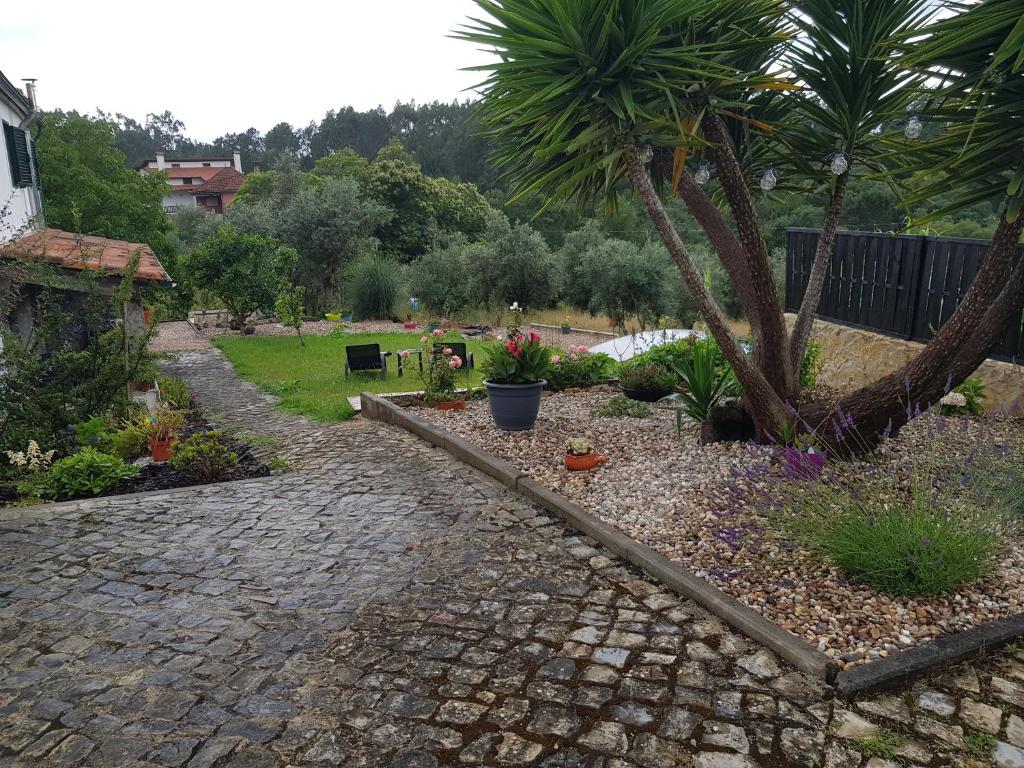 a garden with a palm tree and a stone path at QUINTA FENIX - Chambre Olivia in Cerejeiras