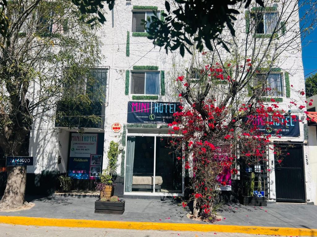 Mini Hotel | San Luis Potosí Mini Hotel | San Luis Potosí