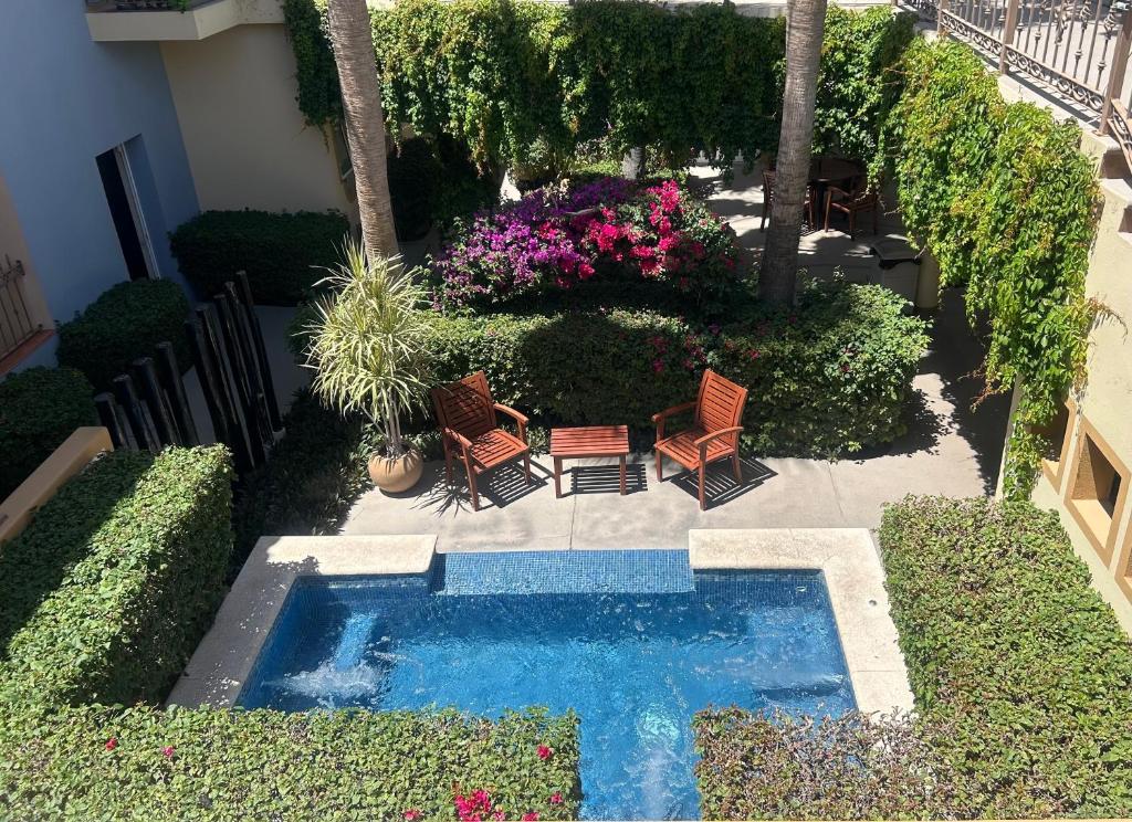 una pequeña piscina con sillas y flores en un patio en San Angel Suites en Cabo San Lucas
