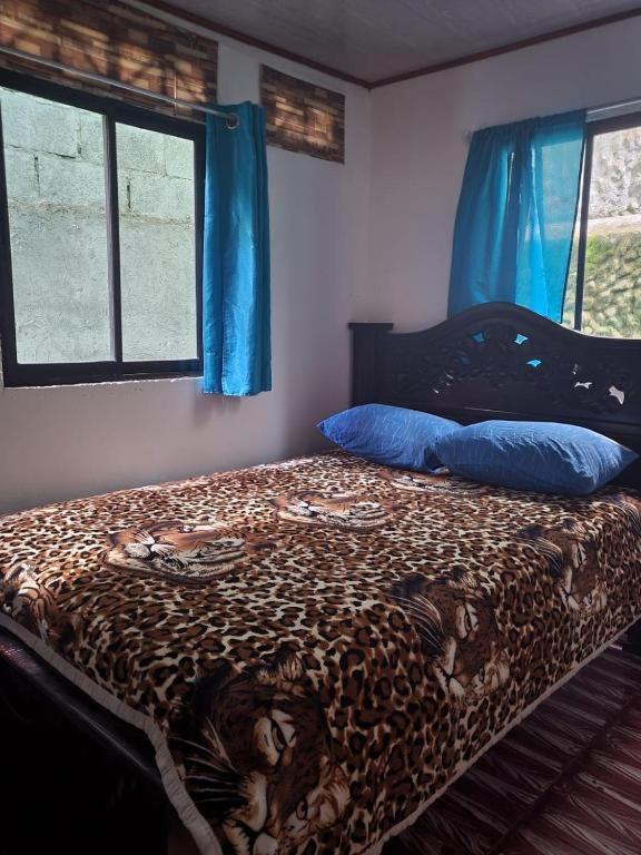 Postel nebo postele na pokoji v ubytování Downtown Montezuma Hostel