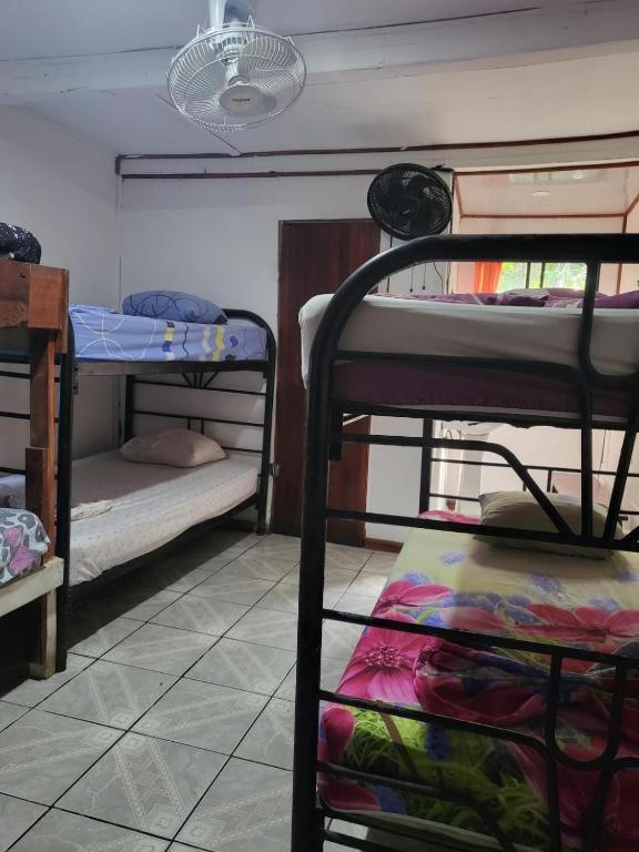 Postel nebo postele na pokoji v ubytování Downtown Montezuma Hostel