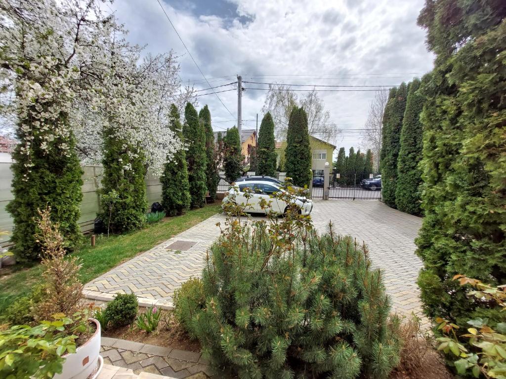 a car parked in a parking lot with trees at Pension Casablanca in Câmpina