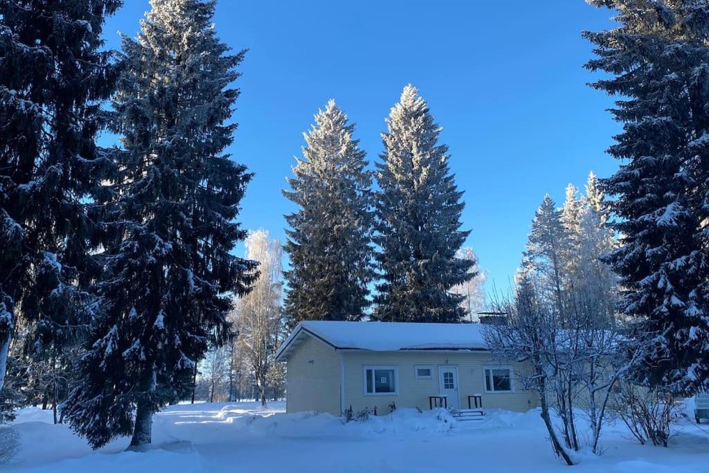 ein Haus im Schnee mit Bäumen in der Unterkunft Omakotitalo Simojärvellä in Ranua