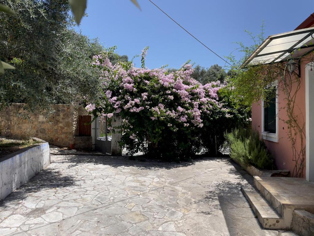 une brousse remplie de fleurs roses à côté d'un bâtiment dans l'établissement Cozy Anthousa House with Sea View, à Anthoúsa